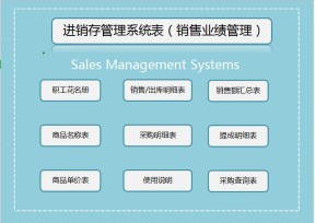 进销存管理系统表-销售业绩