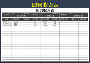 收支表（财务会计记账）