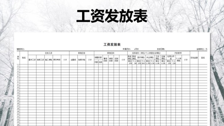 工资发放表