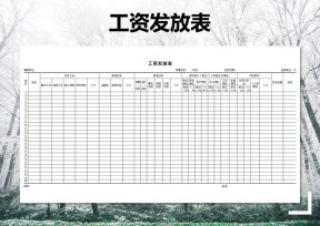 工资发放表