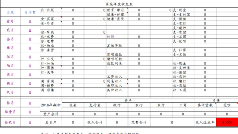 家庭年度收支表