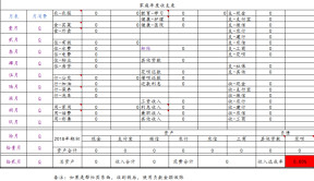 家庭年度收支表