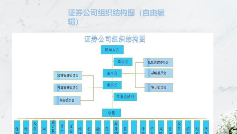 证券公司组织结构图