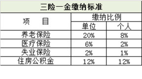工资汇总表5