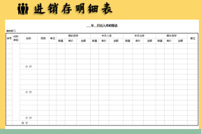 进销存明细表