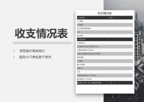 收支情况表