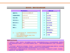 自动生成报表-报税的财务报表模板
