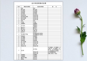 会计科目转换对应表