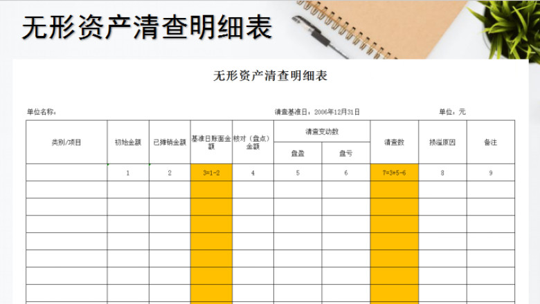 无形资产清查明细表
