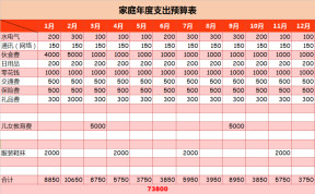 家庭年度支出预算表