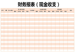 财务报表（现金收支）