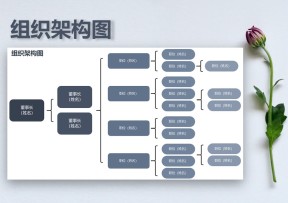 组织架构图公司管理