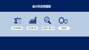 会计科目明细账