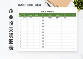 企业收支明细表