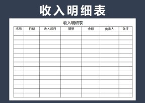 财务收入明细表