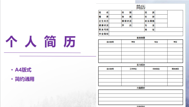 通用简约小清新风简历