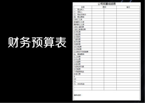 公司运营预算表