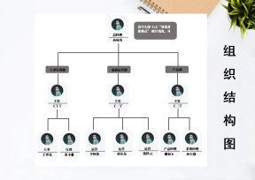 公司结构组织架构图