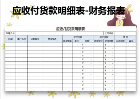 应收付货款明细表-财务报表