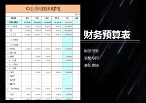 公司年度财务预算表