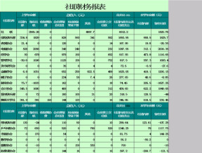 大学社联财务报表