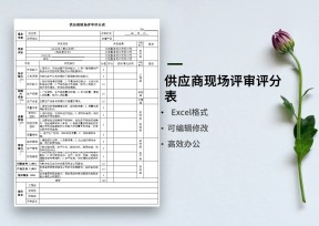 供应商现场评审评分表