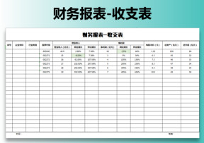 财务报表-收支表