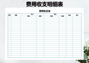 费用收支表