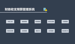 财务收支预算系统--含应收应付