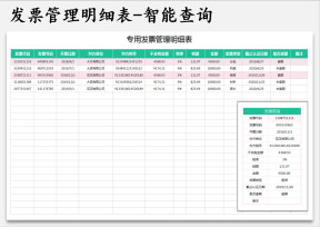 专用发票管理明细表-智能查询