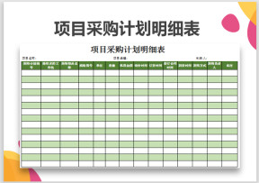 项目采购计划明细表