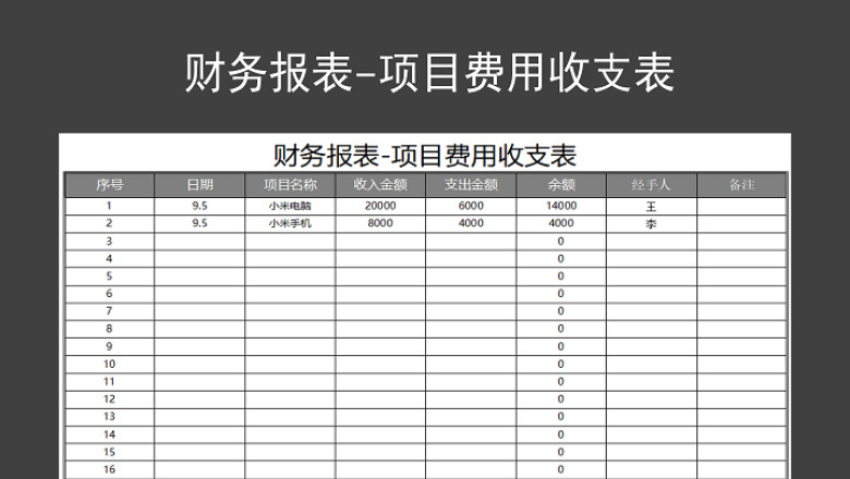 财务报表-项目费用收支表