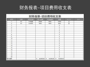 财务报表-项目费用收支表