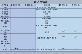 个人、家庭资产负债表 收支表