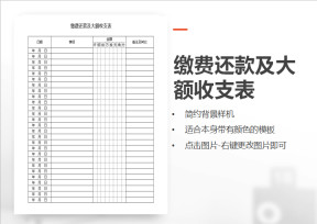 缴费还款及大额收支表
