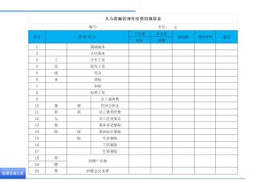 人力资源管理年度费用预算表
