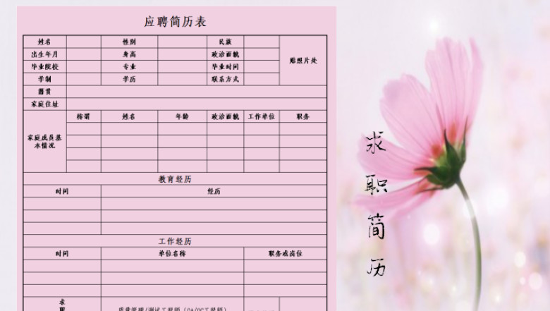 求职应聘简历-小清新版