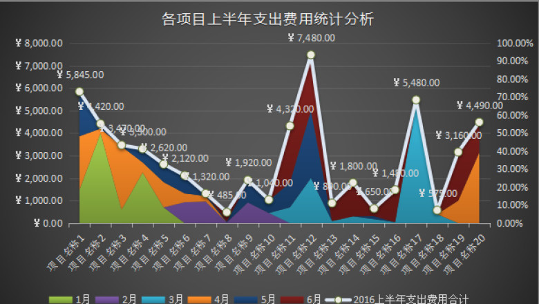 上半年各项目支出费用统计分析