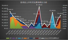 上半年各项目支出费用统计分析