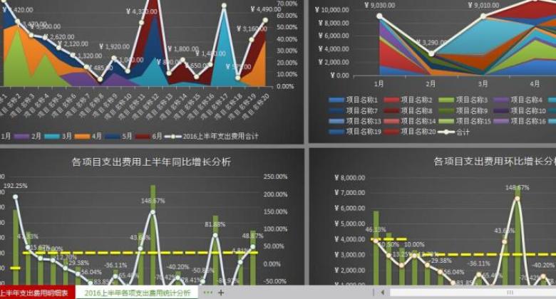 上半年各项目支出费用统计分析