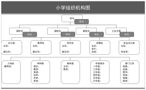 小学组织机构图