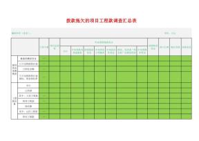 财务报表拨款拖欠的项目工程款调查汇总表