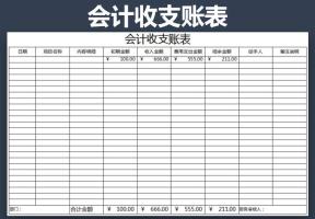 会计收支账表