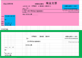 现金（转账）支票打印模板