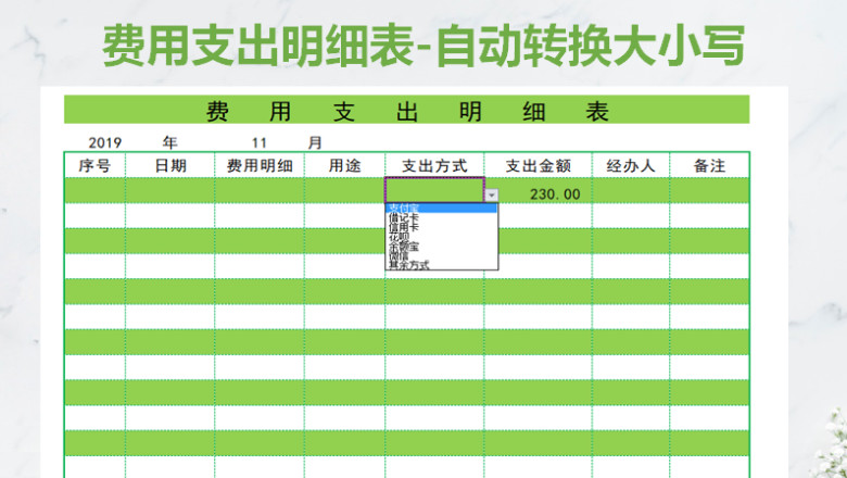 费用支出明细表