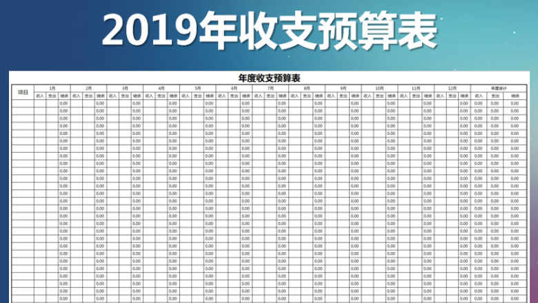 年度收支预算表