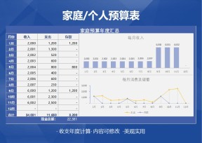 家庭预算年度汇总