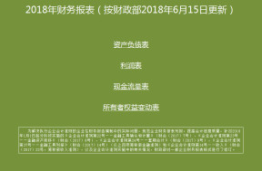 财务报表（按年6月15日之后格式）