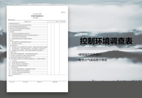 企业基本情况控制环境调查表