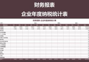 财务报表-企业年度纳税统计表